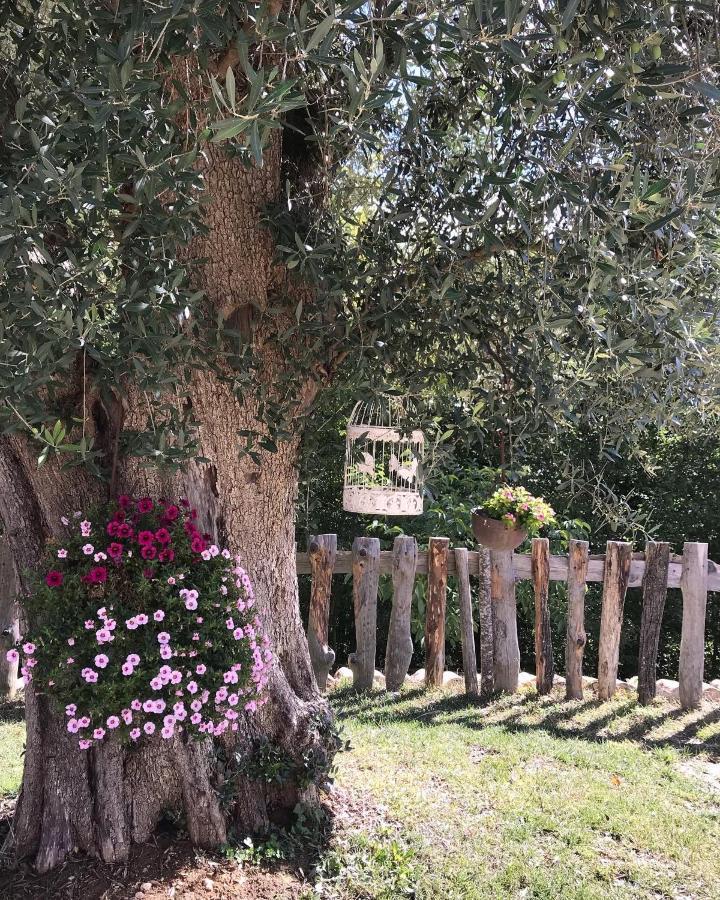 Agriturismo Le Faeta Arpino Esterno foto