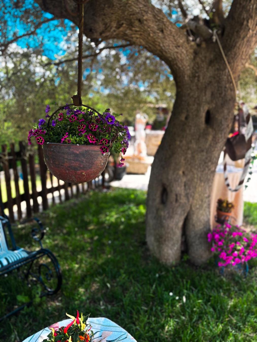 Agriturismo Le Faeta Arpino Esterno foto