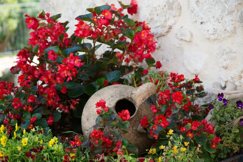 Agriturismo Le Faeta Arpino Esterno foto