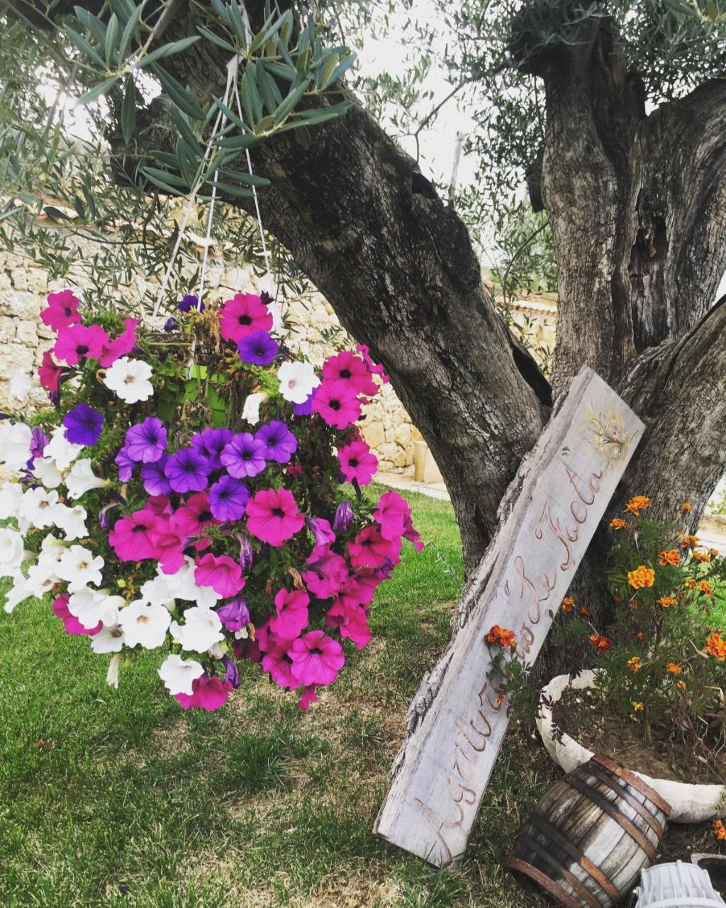 Agriturismo Le Faeta Arpino Esterno foto